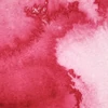 Akvarelová farba Winsor&Newton Professional, 1/2 panvičky - 502, permanent rose