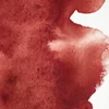 Akvarelová farba Winsor&Newton Professional, 1/2 panvičky - 507, perylene maroon