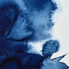 Akvarelová farba Winsor&Newton Professional, 1/2 panvičky - 538, Prussian blue