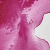 Akvarelová farba Winsor&Newton Professional, 1/2 panvičky - 545, quinacridone magenta