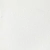Akvarelová farba Winsor&Newton Professional, 1/2 panvičky - 644, titanium white