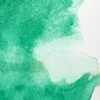 Akvarelová farba Winsor&Newton Professional, 1/2 panvičky - 721, Winsor green (yellow shade)
