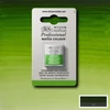 Akvarelová farba Winsor&Newton Professional, 1/2 panvičky - 503, permanent sap green