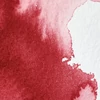Akvarelová farba Winsor&Newton Professional, 1/2 panvičky - 004, alizarin crimson