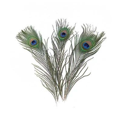 Pávie pierko, 25-30 cm