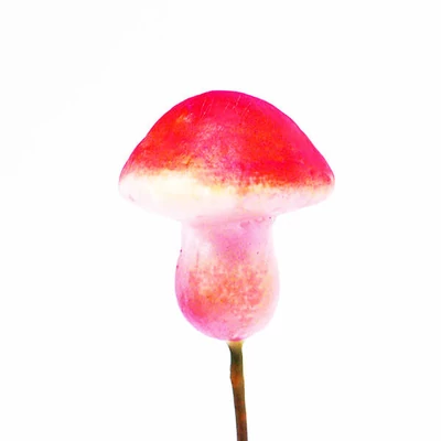 Pripínateľný hríbik - červený, 2,5 cm