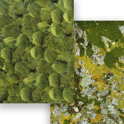 Fotokartón, 50x70 cm - Mech, skala