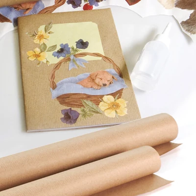 Baliaci papier natrónový, 1x10 m - 60 g, prírodný