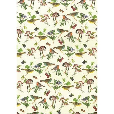 Papier na decoupage Tassotti - spevavce