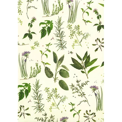 Papier na decoupage Tassotti - aromatické bylinky