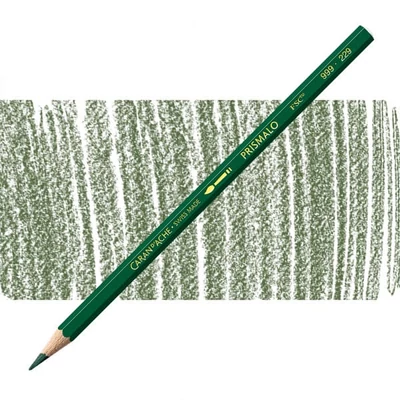 Akvarelová ceruzka Caran d'Ache Prismalo - 229, dark green