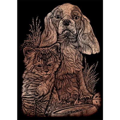 Sada na gravírovanie obrázkov s rysovacou ihlou, 12x18 cm - Mačka, pes, medená
