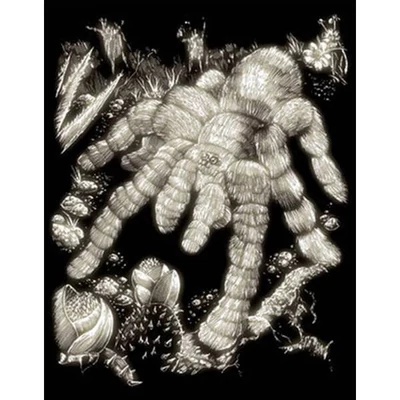Sada na gravírovanie obrázkov s rysovacou ihlou, 20x25 cm - Tarantula, svietiaca v tme