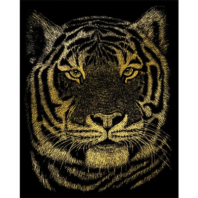 Sada na gravírovanie obrázkov s rysovacou ihlou, 20x25 cm - tiger bengálsky, zlatá