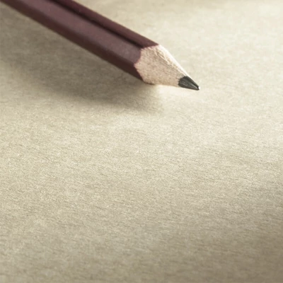 Hahnemühle vázlatfüzet, A4, 120 g, 80 lap, oldalt spirálos - Kraft