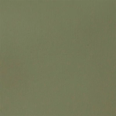 Akrylová farba Liquitex Basics, 118 ml - 205, green gray