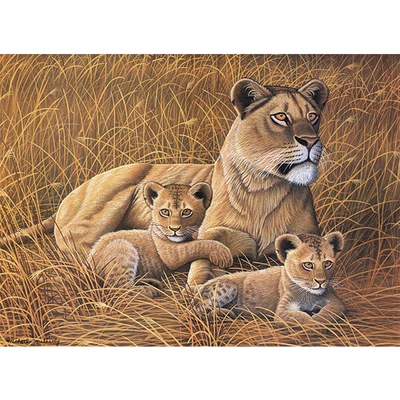 Sada očíslovaných omaľovánok, akrylová farba+štetec, 29x39 cm - Africký lev