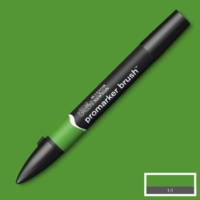 Obojstranný alkoholový popisovač Promarker Brush - G356, forest green