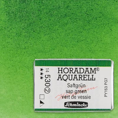 Akvarelová farba Schmincke Horadam, 1/1 v celej panvičke - 530, sap green