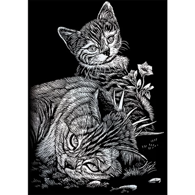 Sada na gravírovanie obrázkov s rysovacou ihlou, 12x18 cm - Mačky, strieborná