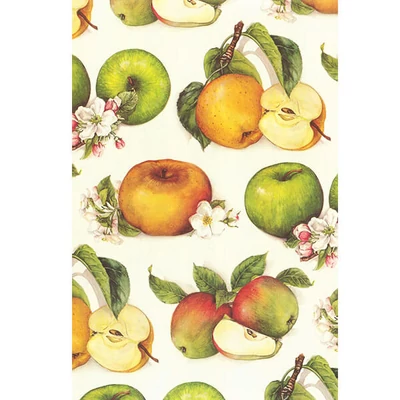 Papier na decoupage Tassotti - jablkový, farebný