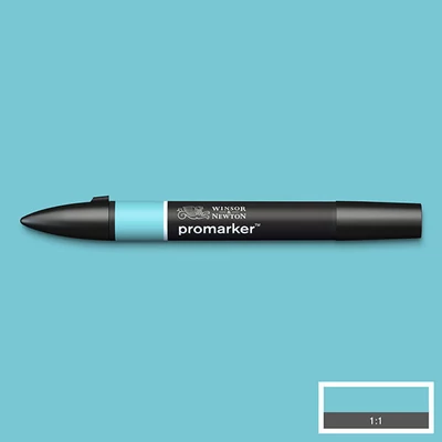 Obojstranný alkoholový popisovač ProMarker - C528, duck egg