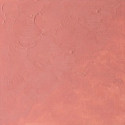 Olejová farba Winsor&amp;amp;Newton Winton, 37 ml - 257, flesh tint
