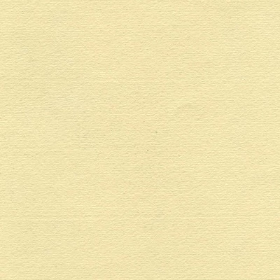 Papier Hahnemühle Ingres, 100 g, 48x62,5 cm - 253 antique