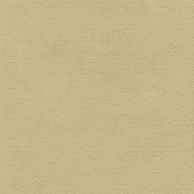 Papier Hahnemühle Ingres, 100 g, 48x62,5 cm - 260 grey brown