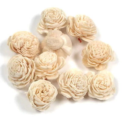Suché plody - Ming iskerník, 2 cm, biely, 10 ks