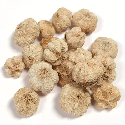 Suché plody - Fokhagyma termés, fehérített, 35 g