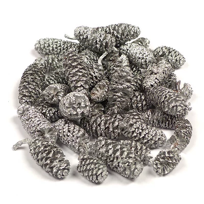 Suché plody - Jelša, strieborná, 30 g