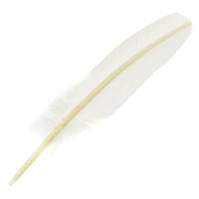 J. Herbin, husacie pero pre atrament, 21 cm - biele