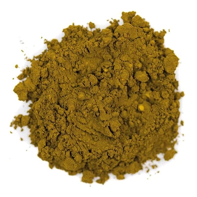 Kremer pigment - Sap Green, 10 g