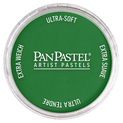 Suchý pastel v tégliku PanPastel - 640.3, permanent green shade