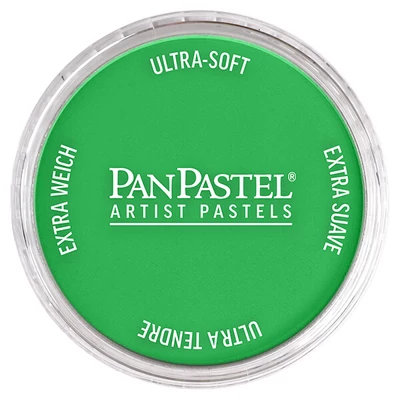 Suchý pastel v tégliku PanPastel - 640.5, permanent green