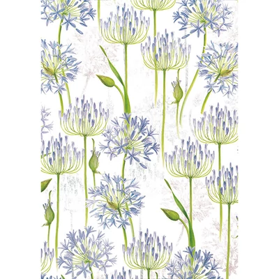 Papier na decoupage Tassotti - agapanthus