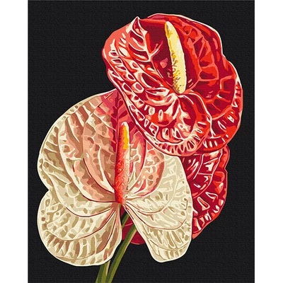 Číslovaná omaľovánka v sade, na napnutom plátne, 40x50 cm - Anastasiia Osmolovska: Plamenník