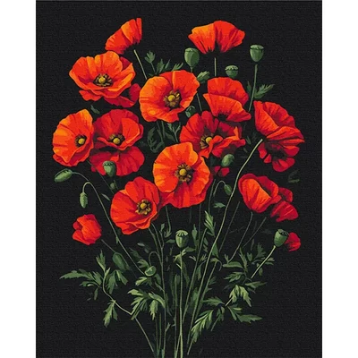 Číslovaná omaľovánka v sade, na napnutom plátne, 40x50 cm - Kúzlo makoviek