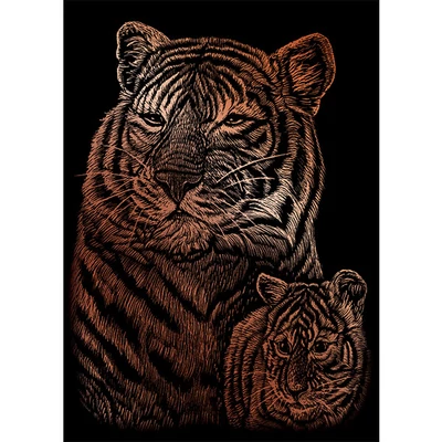 Sada na gravírovanie obrázkov s rysovacou ihlou, 12x18 cm - Tigre, medená