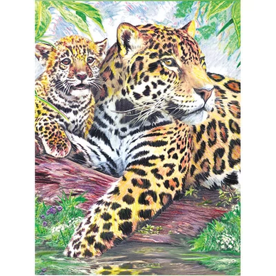 Číslovaná omaľovánka v sade, farebné ceruzky+strúhadlo, 22x30 cm - Jaguar
