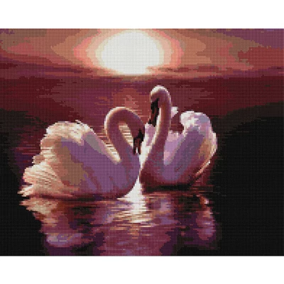 Diamantové mozaikové puzzle, na napnutom plátne, 40x50 cm - Labutí pár