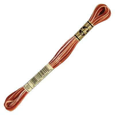 Vyšívacia niť, DMC Mouliné (rozdelená, 6 vlákien), 8 m - 499-69, Variegated - Terra Cotta