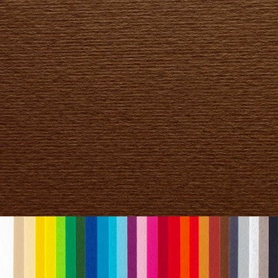 Farebný umelecký kartón Fabriano Elle Erre, 70x100 cm - 06, marrone