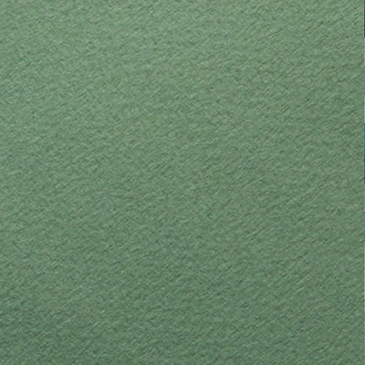 Farebný výkresový papier Fabriano Tiziano, A4 - 13, salvia