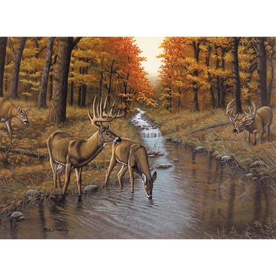 Sada očíslovaných omaľovánok, akrylová farba+štetec, 29x39 cm - Symondov potok