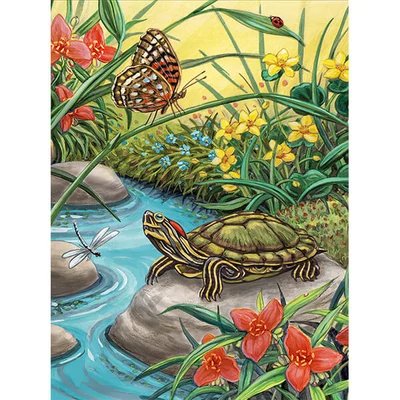 Sada očíslovaných omaľovánok, akrylová farba+štetec, 22x30 cm - Korytnačka
