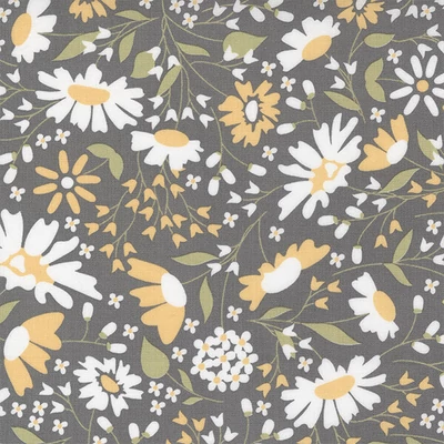 Patchworková tkanina - Moda - Buttercup and Slate by Corey Yoder 29151-17