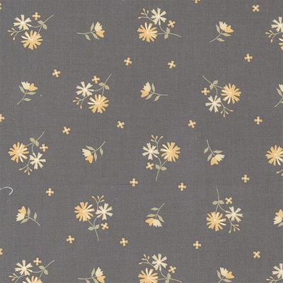 Patchworková tkanina - Moda - Buttercup and Slate by Corey Yoder 29153-17