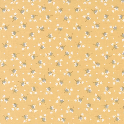 Patchworková tkanina - Moda - Buttercup and Slate by Corey Yoder 29154-12